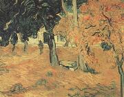 Vincent Van Gogh The Garden of Saint-Paul Hospital (nn04) USA oil painting reproduction